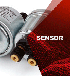 سنسور